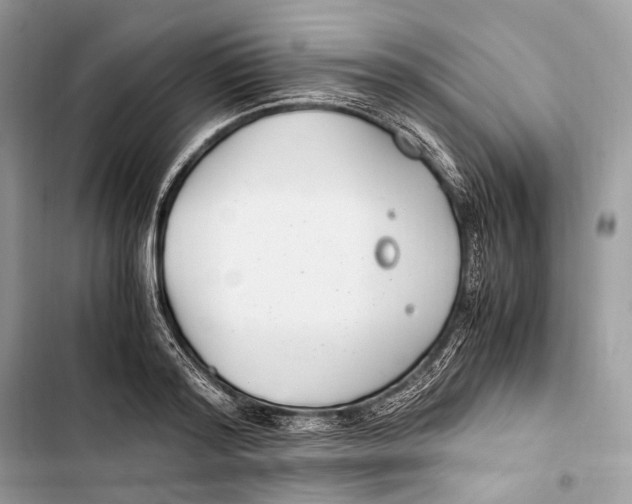 X0000103480796200810031542