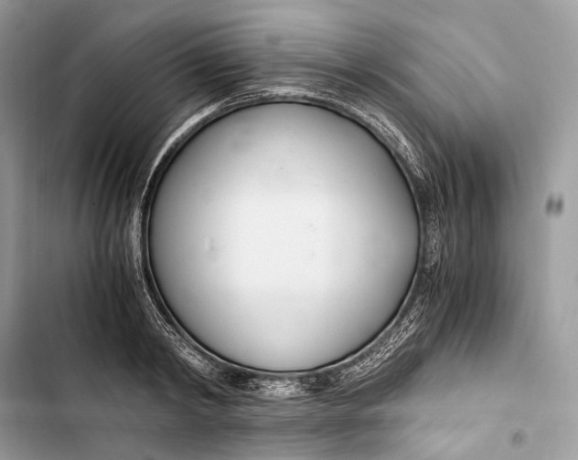 X0000103480798200810031542