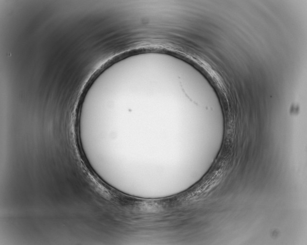 X0000103480799200810031542