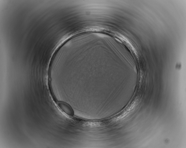 X0000103480802200810031541