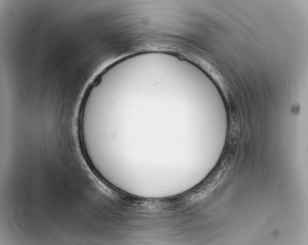 X0000103480803200810031541