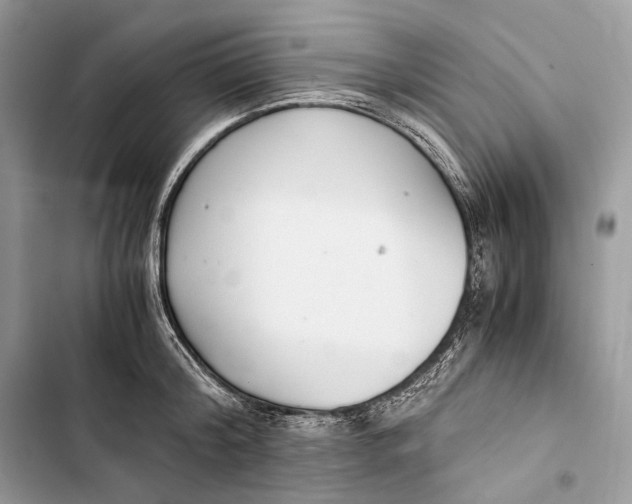 X0000103480804200810031541