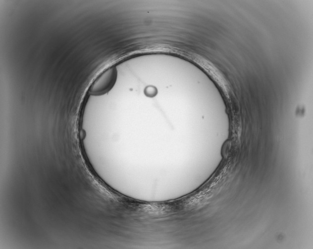 X0000103480805200810031541