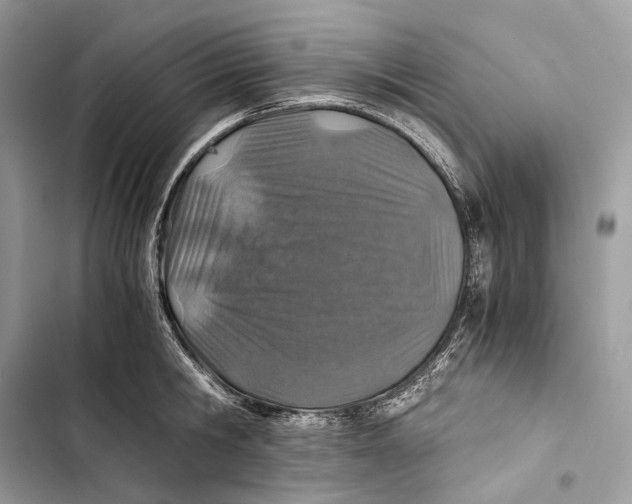 X0000103480806200810031541