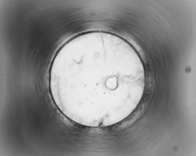 X0000103480807200810031541