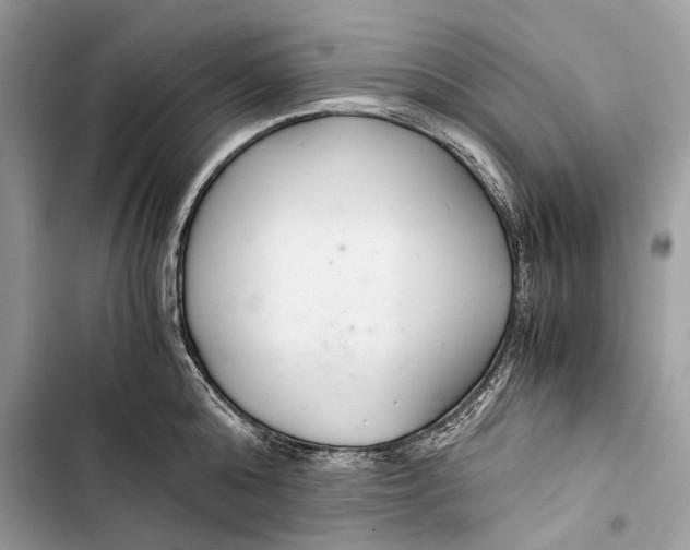 X0000103480808200810031541