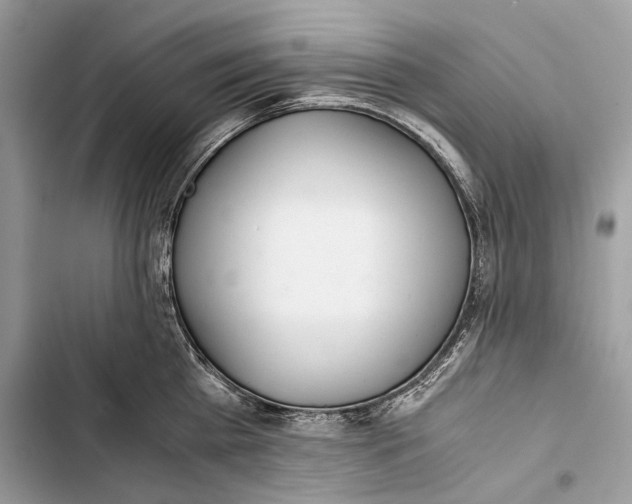 X0000103480809200810031541