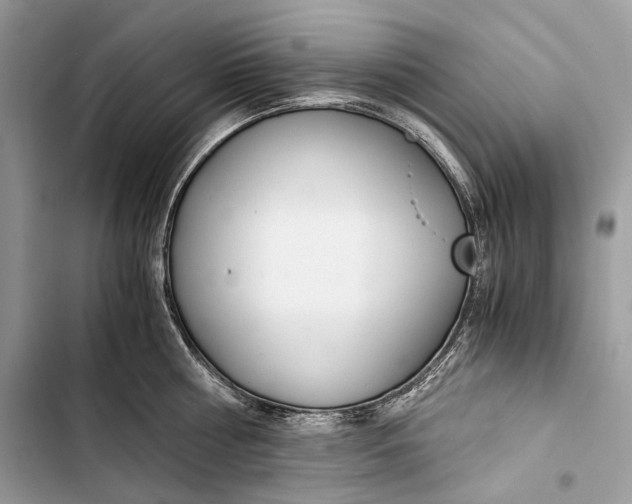 X0000103480810200810031541