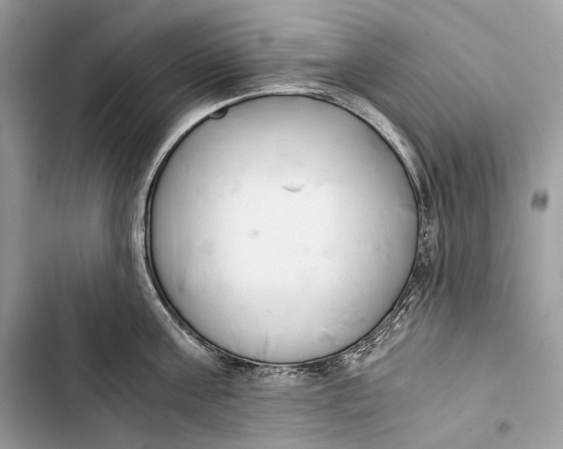 X0000103480811200810031541