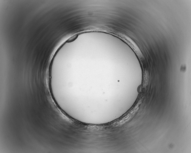 X0000103480812200810031541