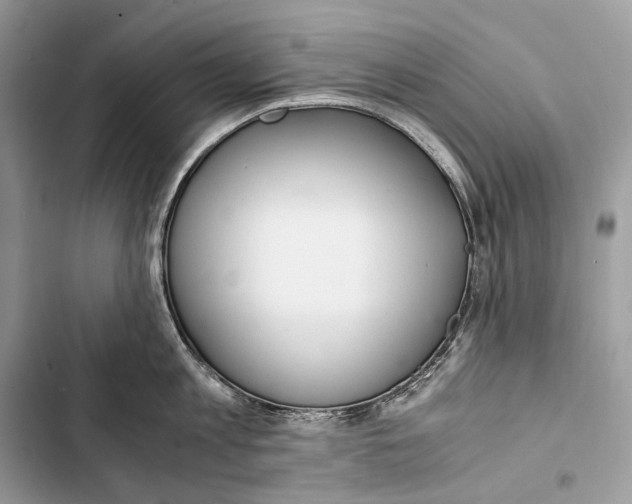 X0000103480813200810031541