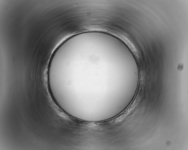 X0000103480814200810031541