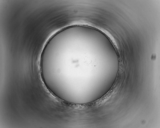 X0000103480815200810031541