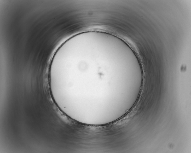 X0000103480816200810031541