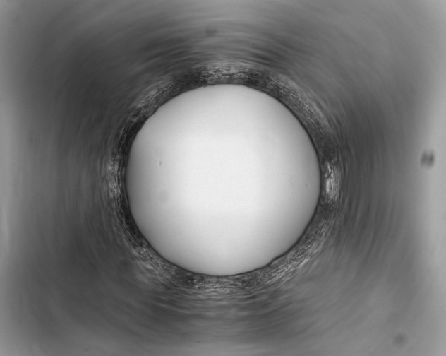 X0000103480819200810031541