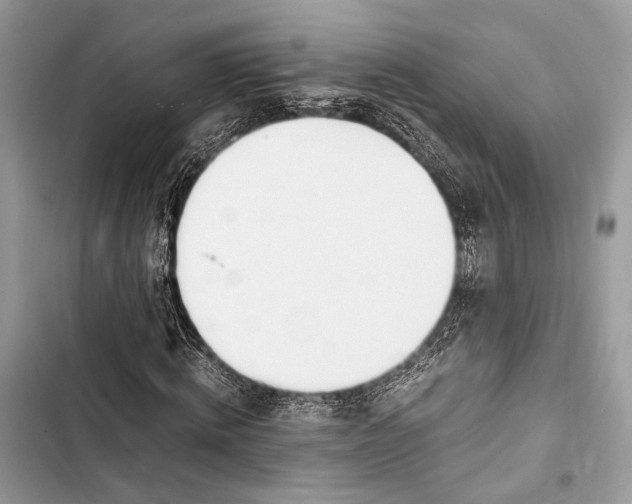 X0000103480820200810031541