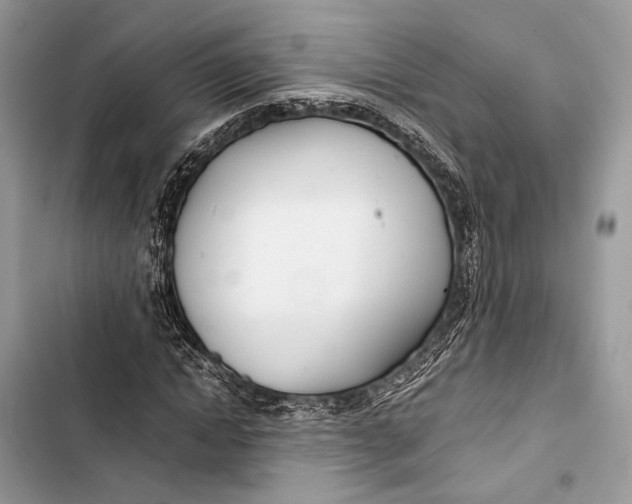 X0000103480822200810031541