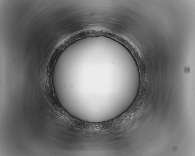 X0000103480823200810031541