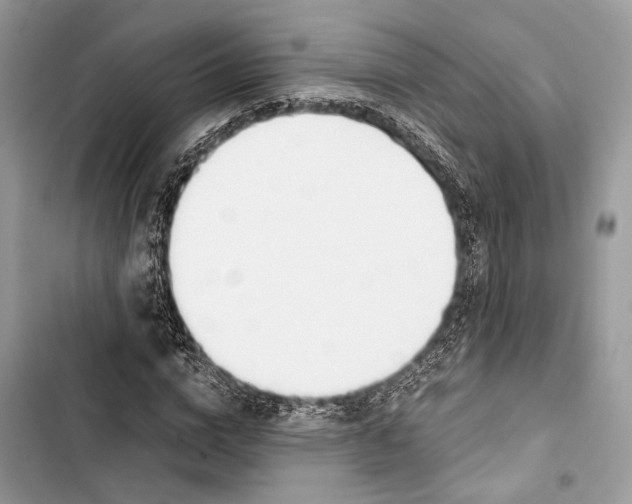 X0000103480824200810031541