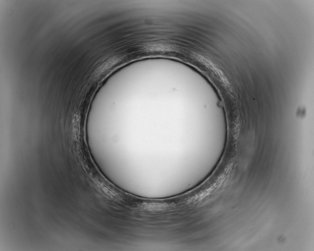 X0000103480825200810031541