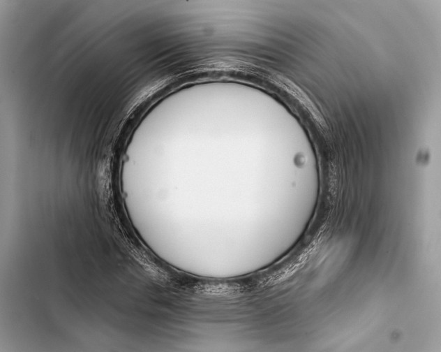 X0000103480826200810031541