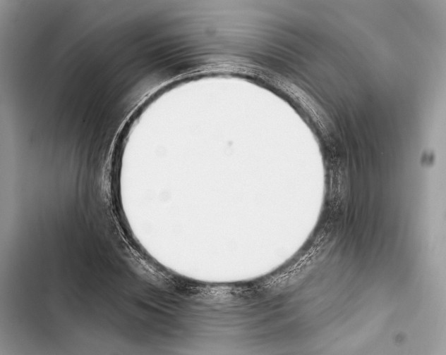 X0000103480828200810031541