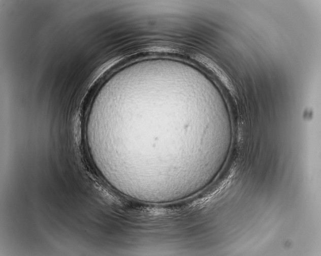 X0000103480829200810031541