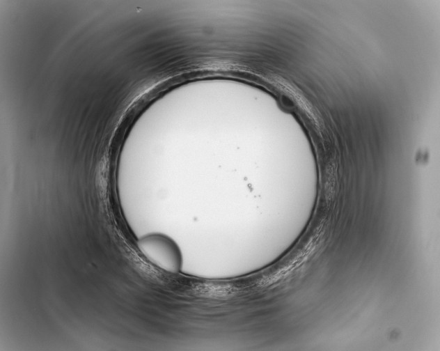 X0000103480831200810031541