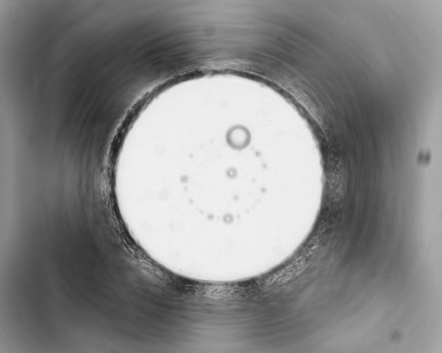 X0000103480832200810031541