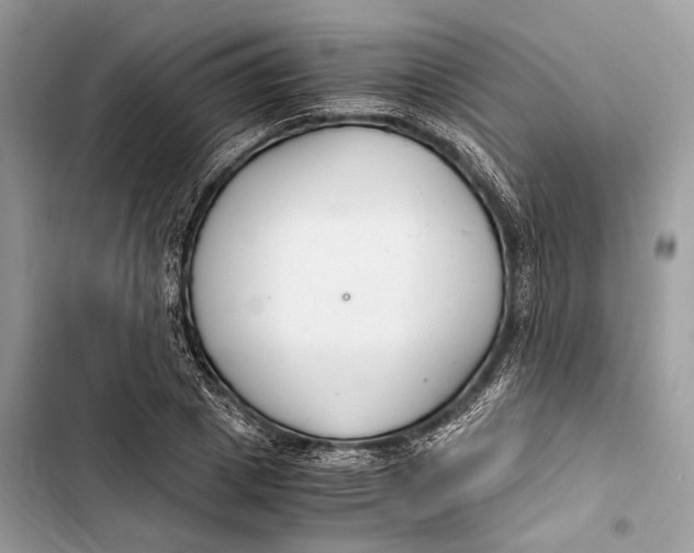 X0000103480833200810031541