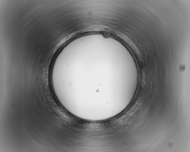 X0000103480834200810031541