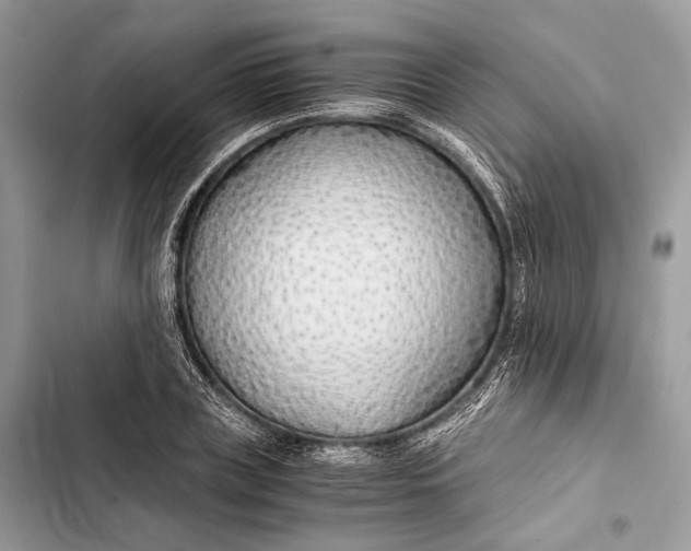 X0000103480835200810031541