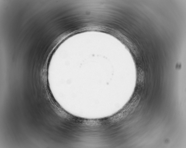 X0000103480836200810031541