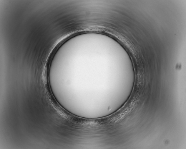 X0000103480838200810031541