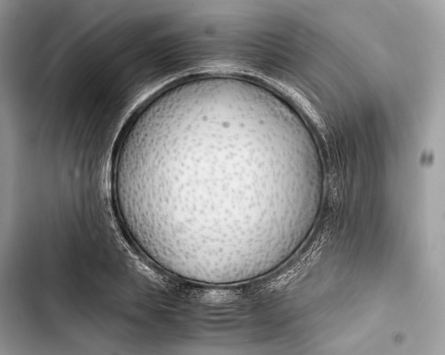 X0000103480839200810031541