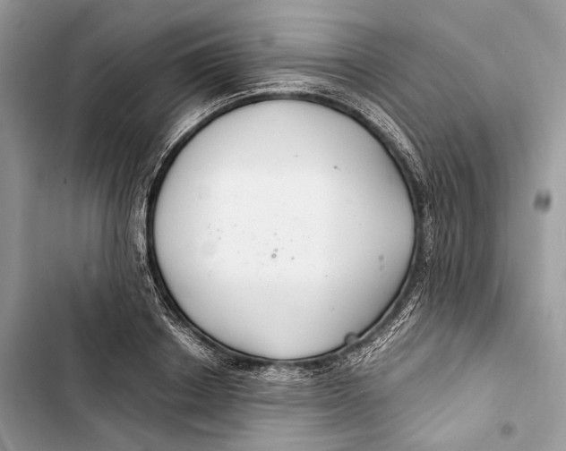 X0000103480842200810031541