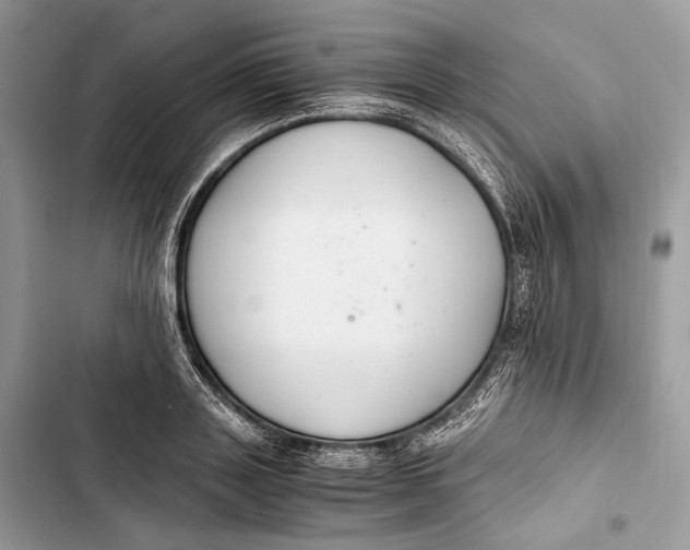 X0000103480843200810031541