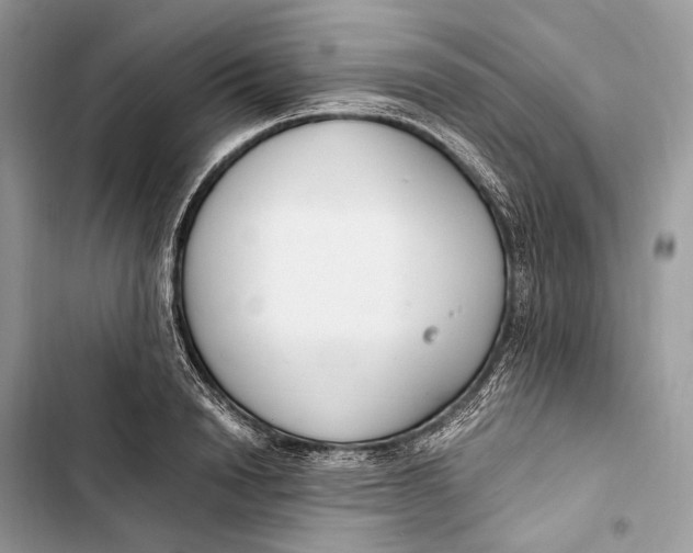 X0000103480846200810031541