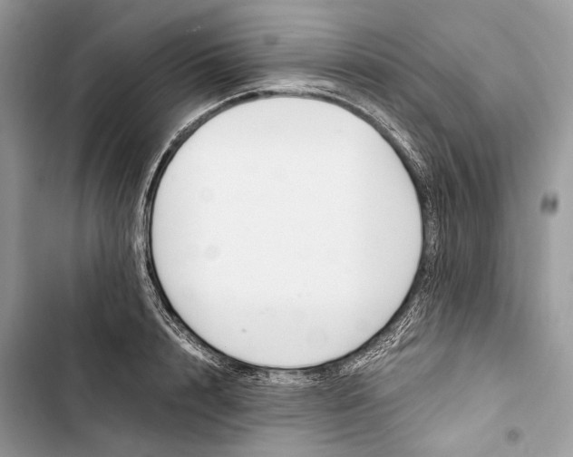 X0000103480848200810031541