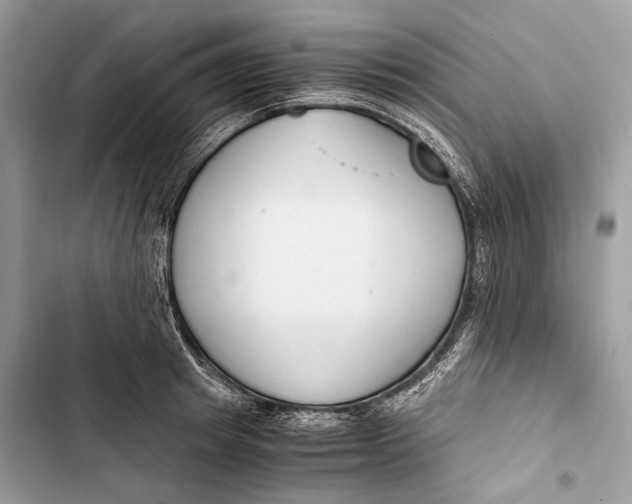 X0000103480849200810031541