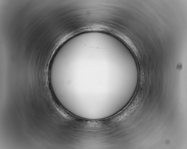 X0000103480850200810031541