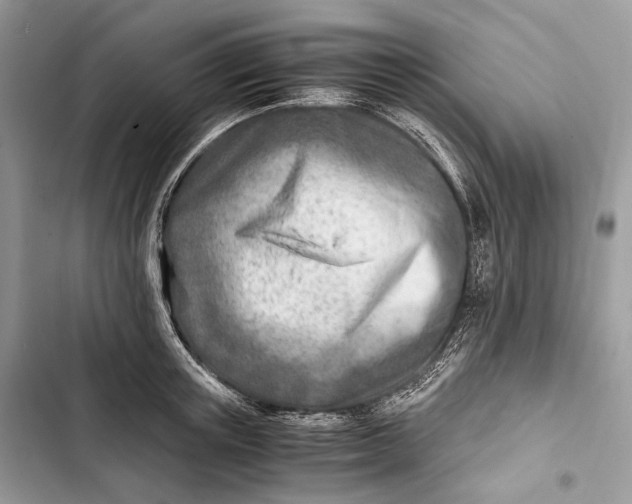 X0000103480851200810031541