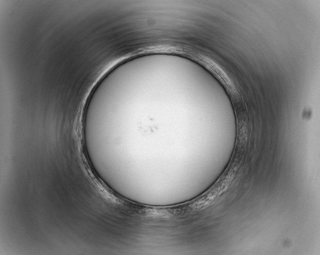 X0000103480852200810031541