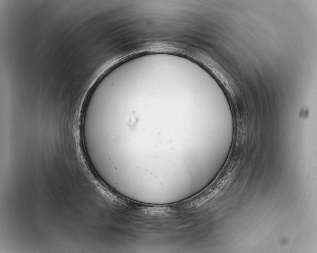 X0000103480853200810031541