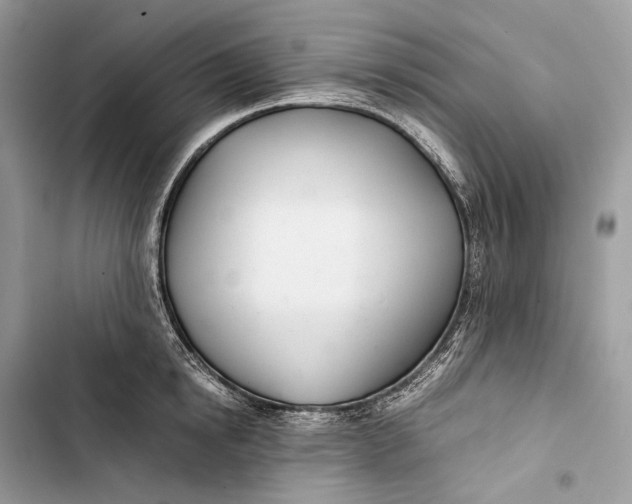 X0000103480854200810031541