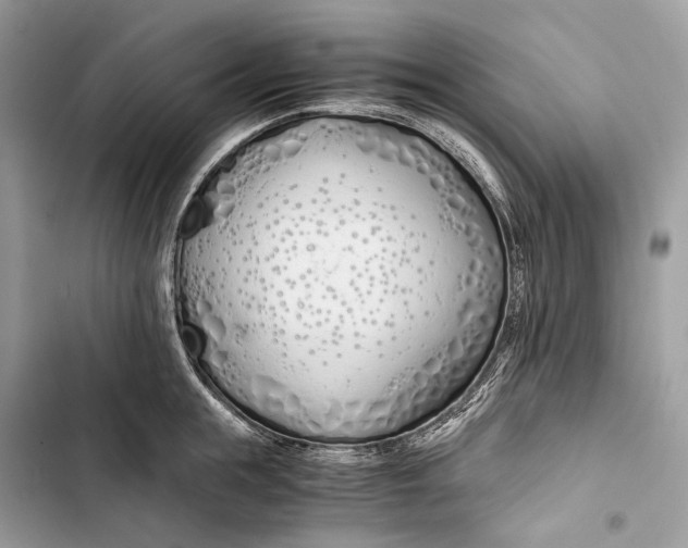 X0000103480855200810031541