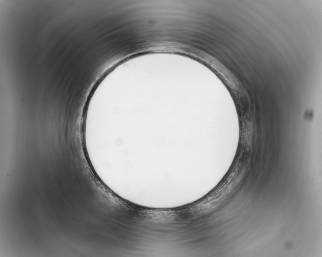 X0000103480856200810031541