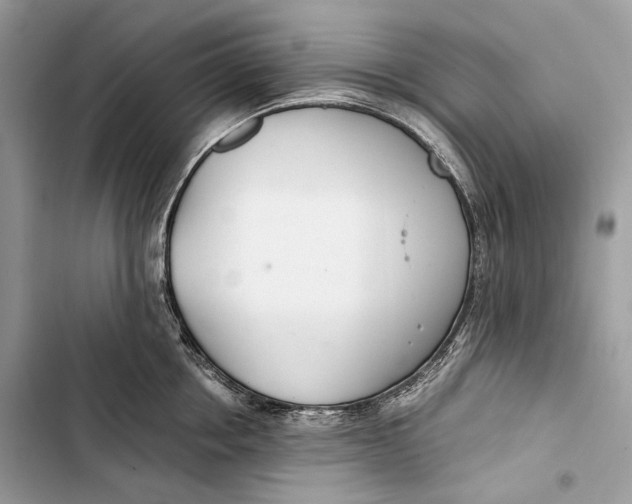 X0000103480858200810031541