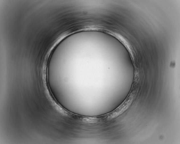 X0000103480859200810031541