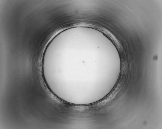 X0000103480860200810031541